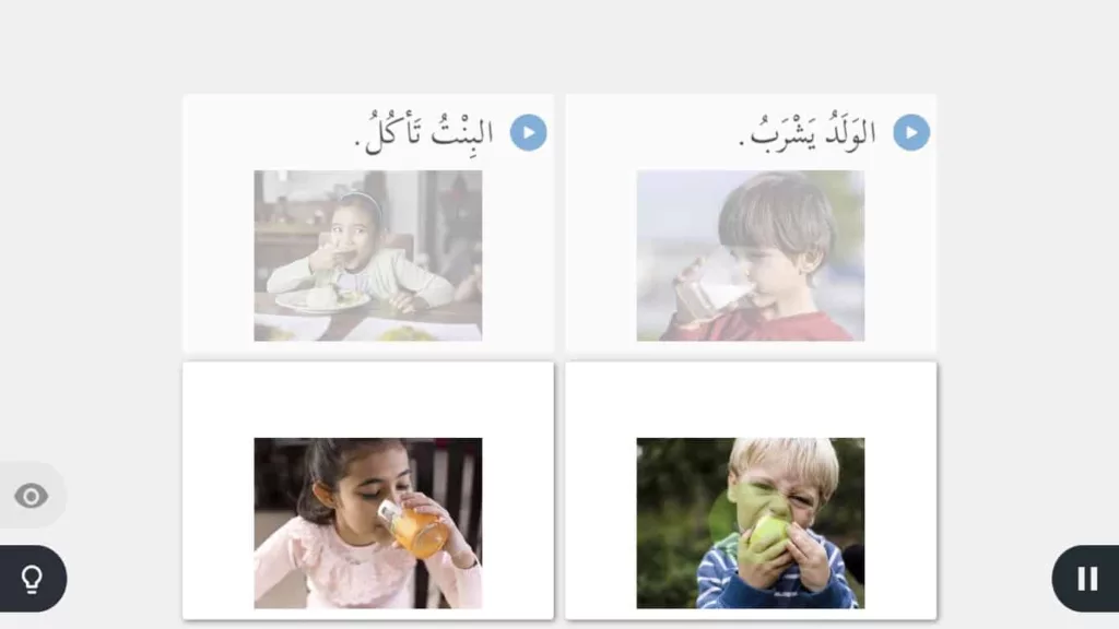 rosetta stone learning experience