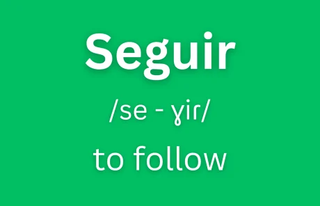 Seguir conjugation