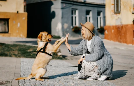 A girl training her dog