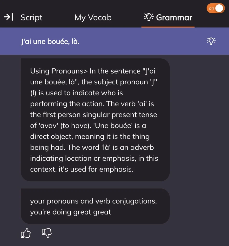 This picture shows a grammar note made by Lingopie on a French show.